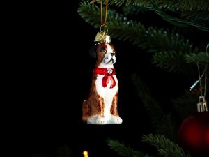Julgranspynt Boxer