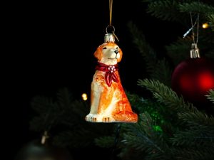 Julgranspynt Golden Retriever